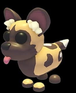 Full Grown Fly Ride African Wild Dog