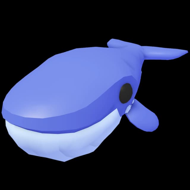 Pre-Teen Blue Whale