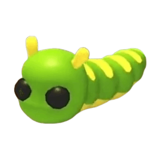 Newborn Caterpillar