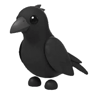 Full Grown Fly Ride Crow