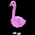 Full Grown Ride Flamingo