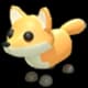 Post-Teen Red Fox