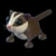 Full Grown Ride Sugar Glider