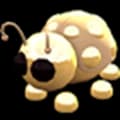Pre-Teen Ride Golden Ladybug