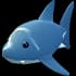 Newborn Shark
